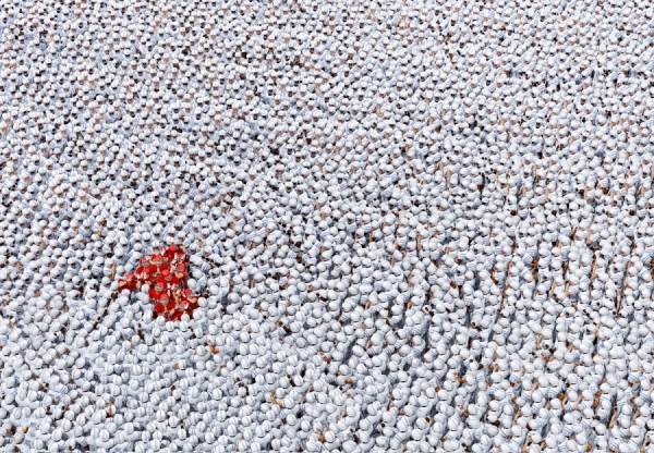 Photograph Simon Danaher Ketchup on One Eyeland
